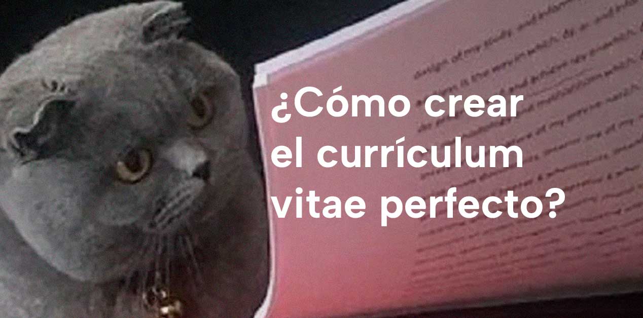 ¿Cómo crear el currículum vitae perfecto?